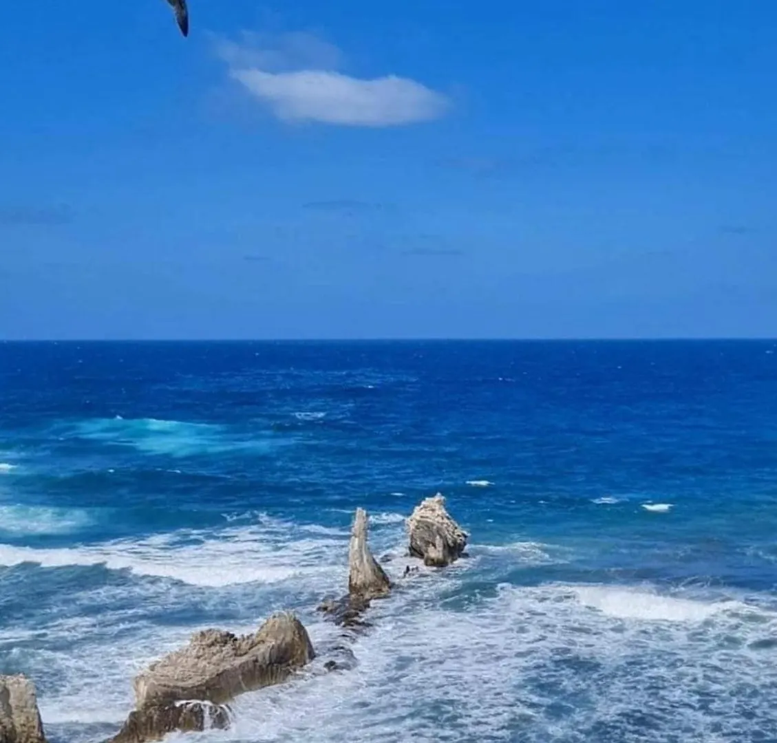 Appartamento casa vacanza Mivaja Terrasini Italia